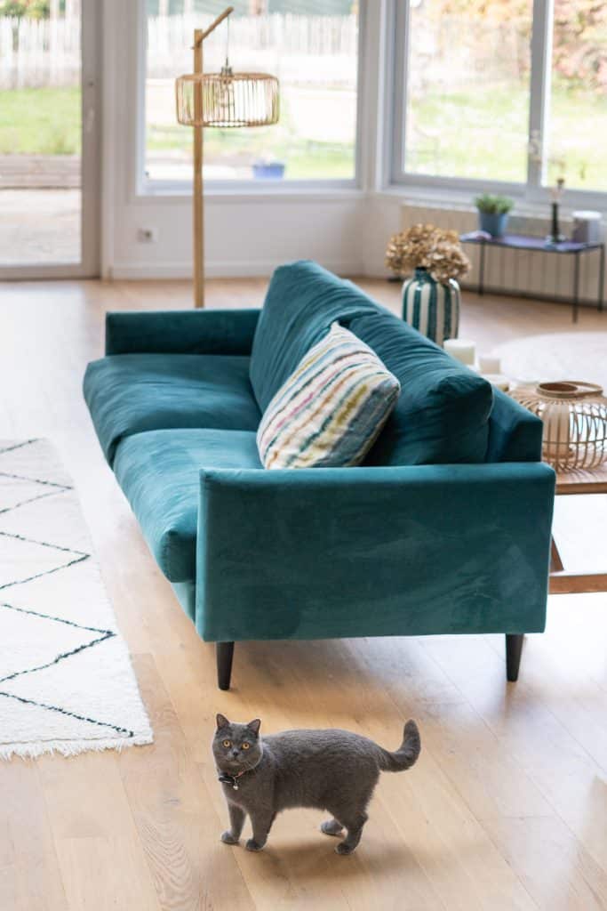 renovation et décoration intérieure maison bordeaux canapé velours tapis berbere lampe sur pied bois